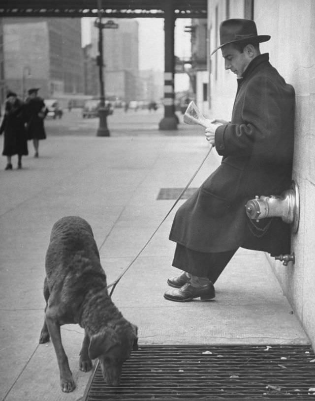 #10 Sportscaster Bill Stern read a newspaper as his Chesapeake Bay retriever sniffed a sidewalk grate, New York City, 1944.