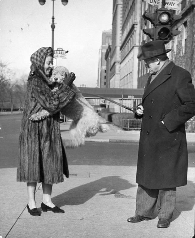 #12 Conductor Artur Rodzinski and his wife with their poodle at 57th St. and 5th Ave in New York City, 1944.