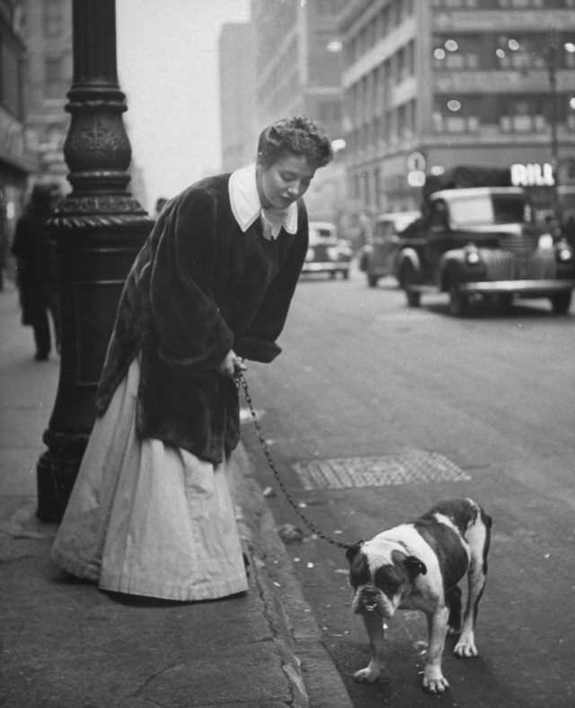 #13 Actress Joan Roberts, wearing a costume for the musical Oklahoma, walked her English bulldog Goggles during intermission, 1944.