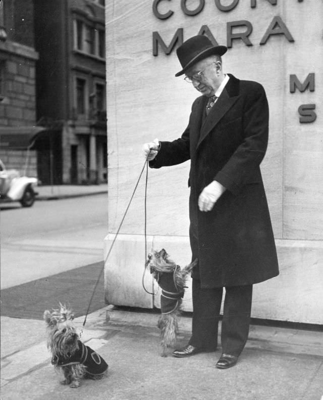 #17 William F. Schlemmer, of Hammacher-Schlemmer, walked his Yorkshire terriers, New York City, 1944.