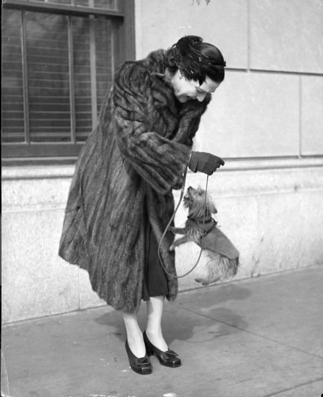 #19 Author Fannie Hurst enjoyed the jumping antics of her Yorkshire terrier Orphan Annie, New York City, 1944.