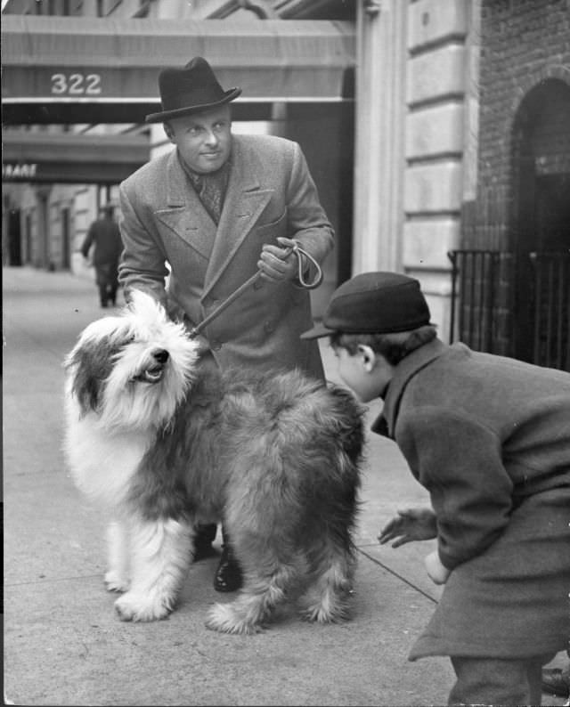 #22 Music conductor Andre Kostelanetz with his sheep dog Puff, New York City, 1944.