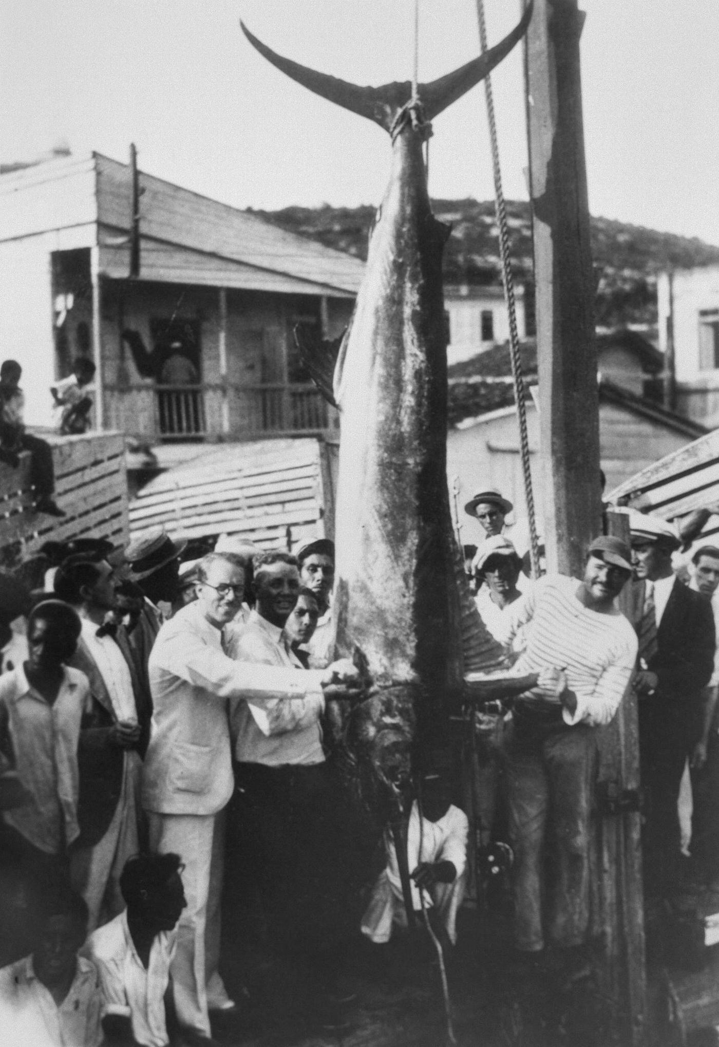 #16 Ernest Hemingway with the record-breaking Black Marlin he caught off the Cuban coast, 1930