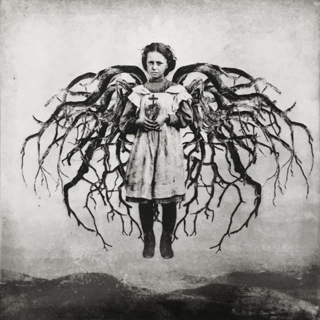 #15 Wings of Wood