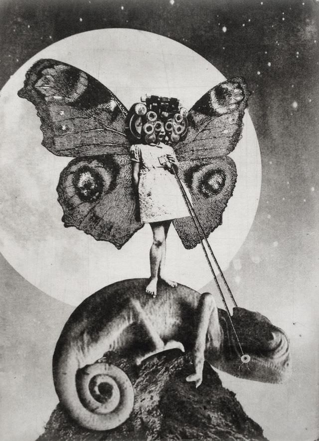 #22 The Girl and The Chameleon