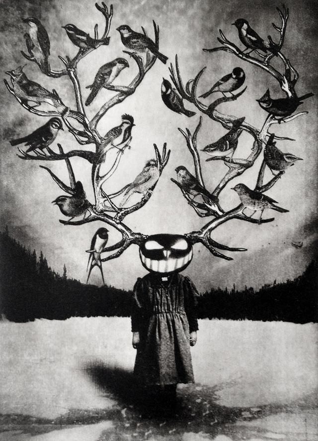 #23 The Girl from The Woods