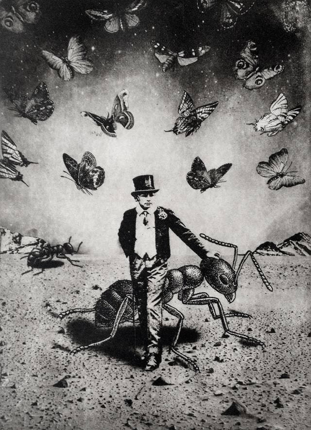 #24 The Boy and The Ants