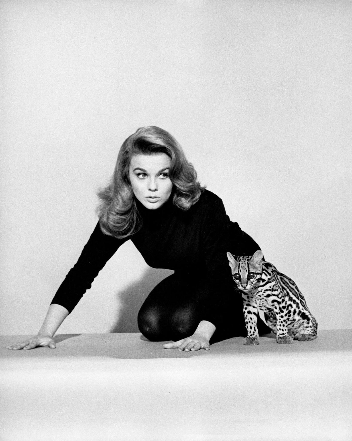 Ann-Margret poses with an ocelot in a promotional still for ‘Kitten With A Whip, 1964