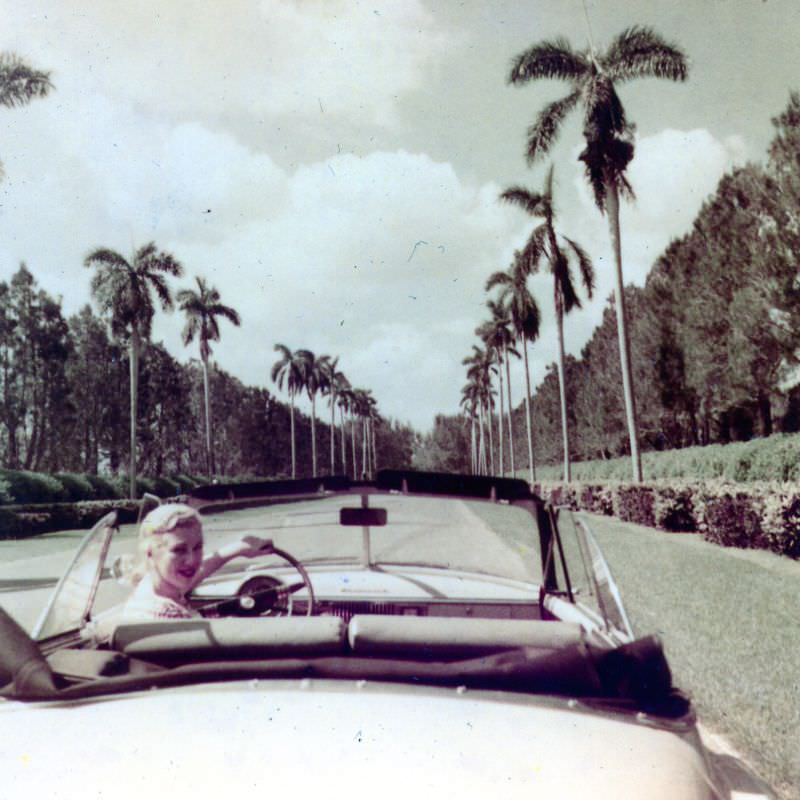 #14 Haileah Park, Miami, Florida