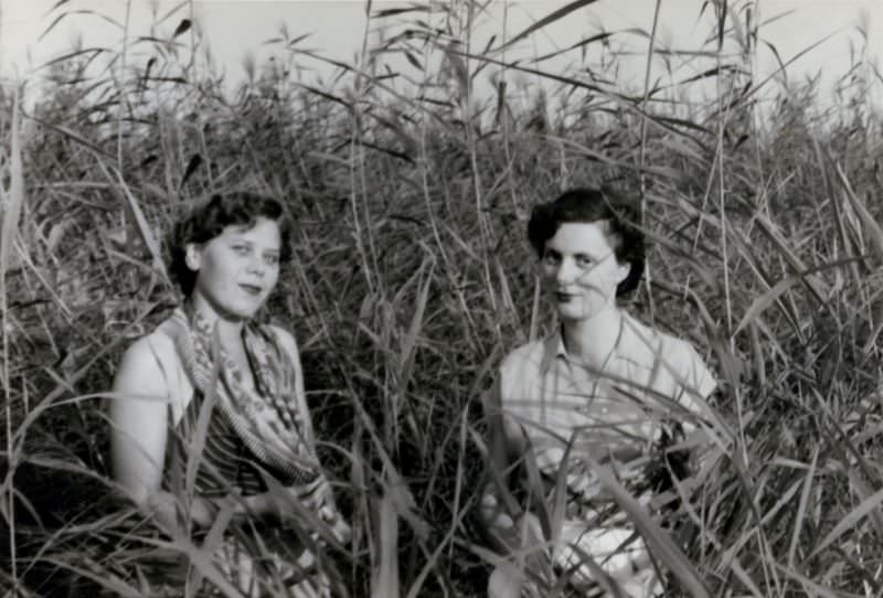 #33 Two fashionable ladies posing in the reeds in summertime, circa 1958