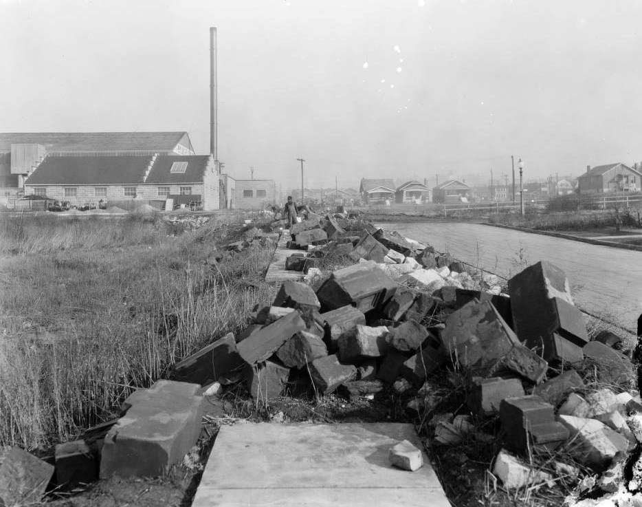 #166 Man standing with pile of rubble on South Spring Avenue in St. Louis in 1925
