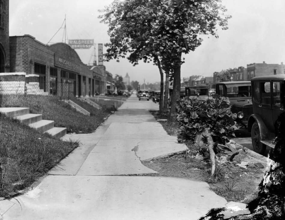 #176 East view of the 3900 block of Page, with cracked sidewalk, tree stump, and Walgreen Drug Company office and warehouse visible, 1925