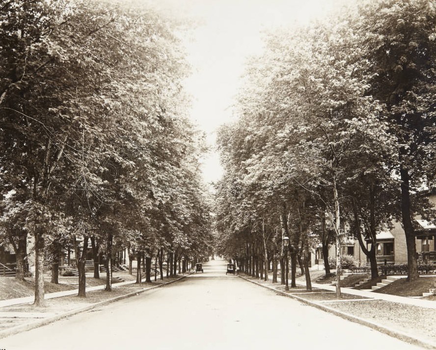 #16 Tree-lined Cates Avenue, east of Hamilton Avenue, 1920