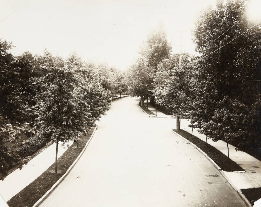 #99 Section of Belt Avenue just south of Page, 1920