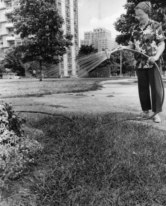 #37 Plaza Apartments – Gardening, 1976