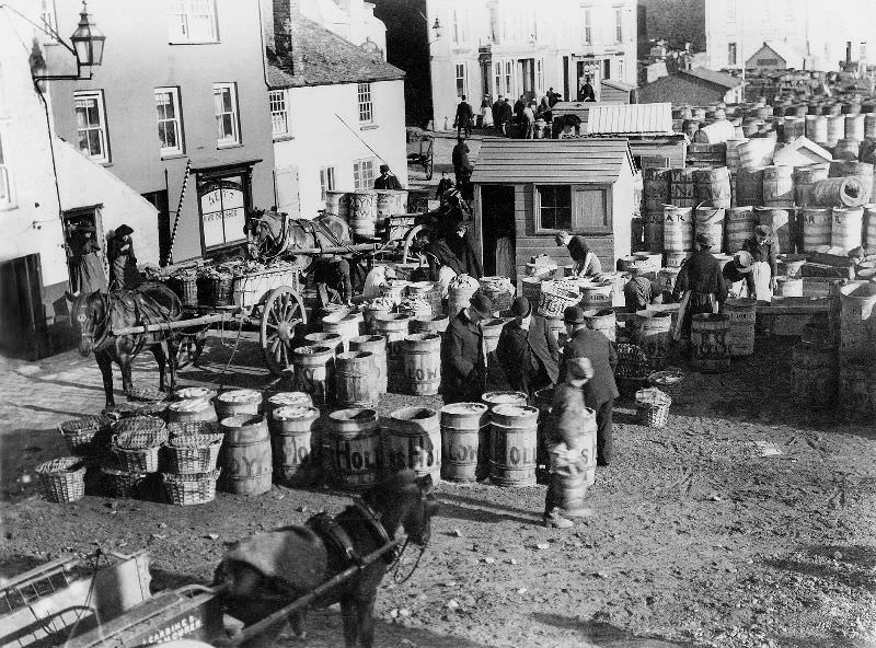 #16 A view of the activity around the slipway, with the barrels awaiting their turn to be packed with fish and then transported away on waiting carts, St. Ives, Cornwall