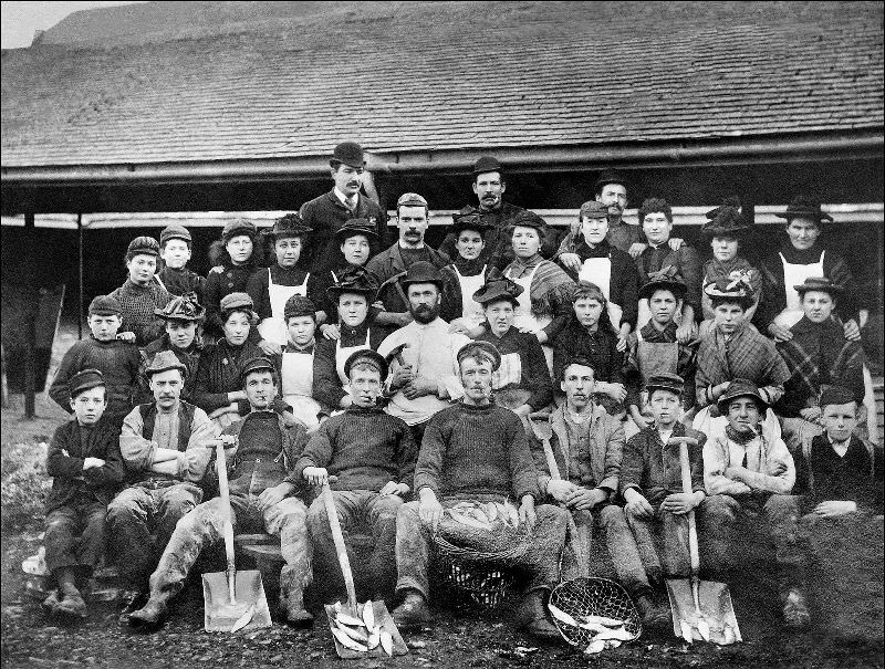 #4 A group of pilchard processing workers outside a fish cellar or “fish palace” somewhere in the back streets of St. Ives, Cornwall