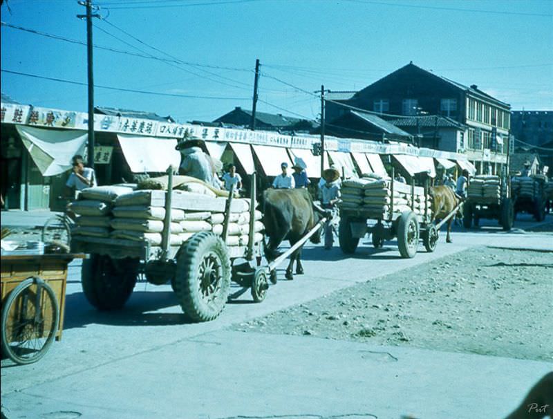 #12 Common transport in Taiwan, 1954