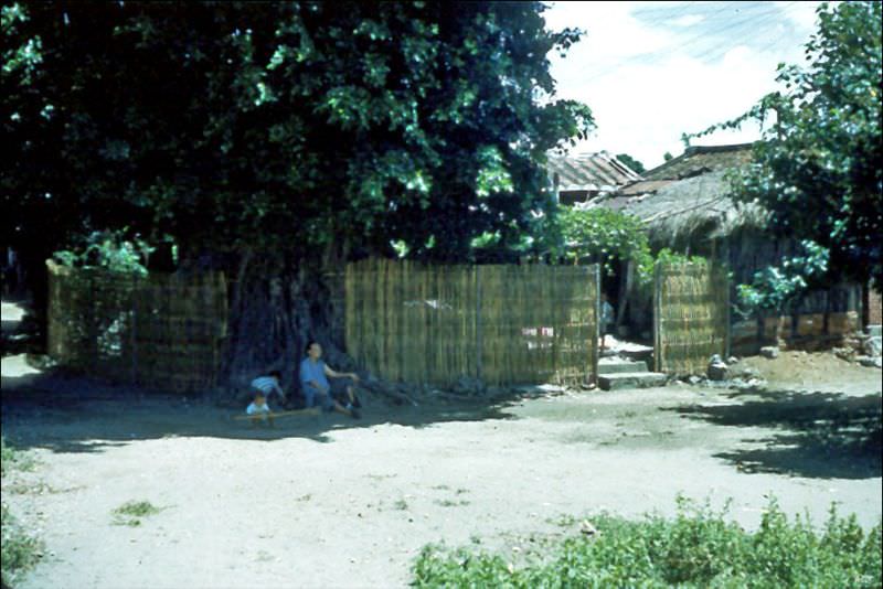 #37 Catching shade, Taiwan, Tainan, 1954