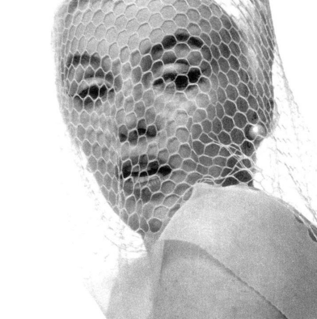 Marilyn Monroe’s Timeless Beauty: Exploring ‘The Last Sitting’ for Vogue Celebrities