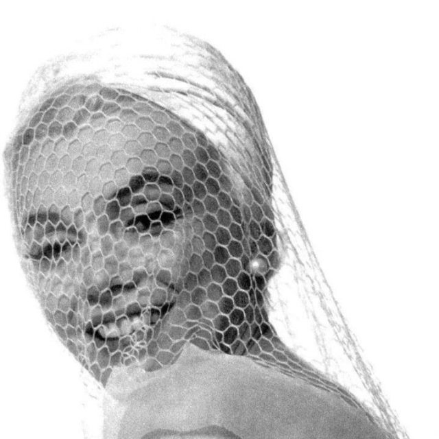 Marilyn Monroe’s Timeless Beauty: Exploring ‘The Last Sitting’ for Vogue Celebrities
