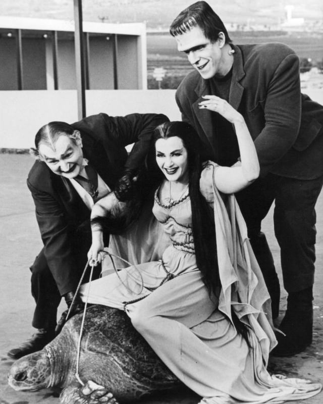 Behind the Scenes of ‘The Munsters’: Photos that Unveil the Enchanting World of the Iconic TV Show