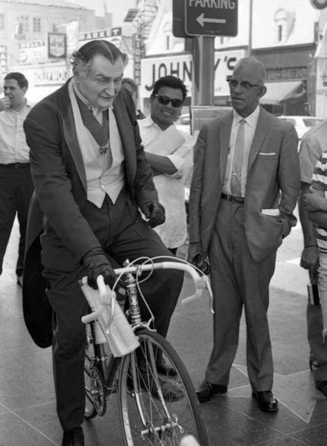 Behind the Scenes of ‘The Munsters’: Photos that Unveil the Enchanting World of the Iconic TV Show