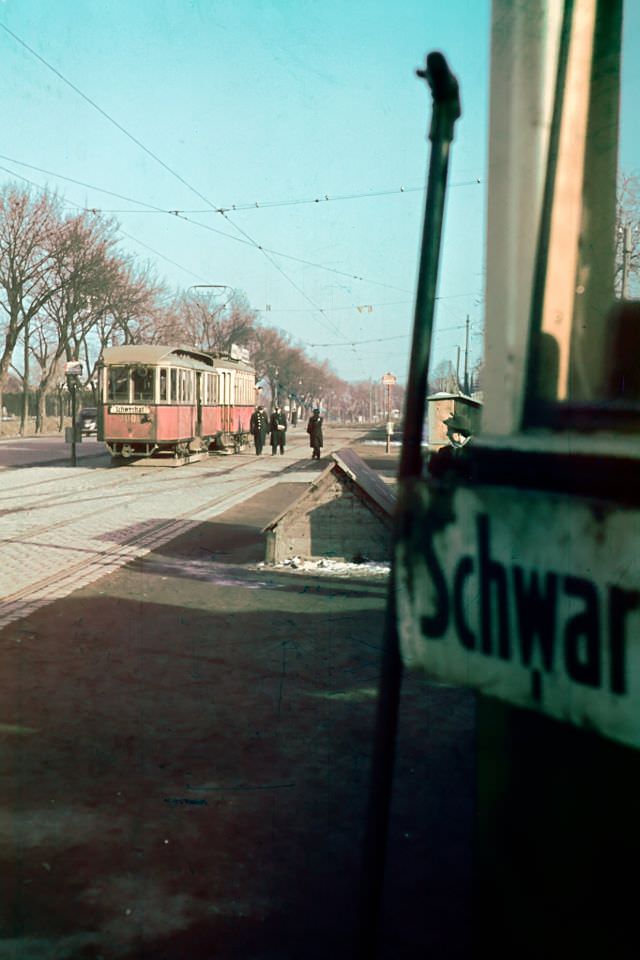 #73 Vienna Central Cemetery, 1955