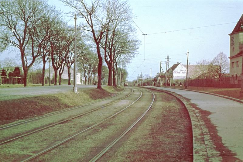 #82 Tram line 71, taken from Weissenböckstrasse, 1960