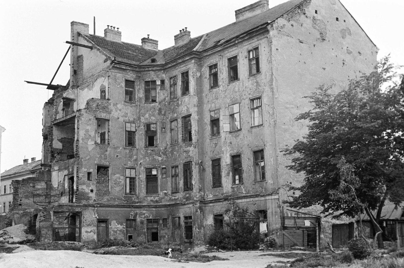 #10 The building of Pfeffergasse in the Jewish quarter of Vienna, where Sigmund Freud lived with his parents in 1956.
