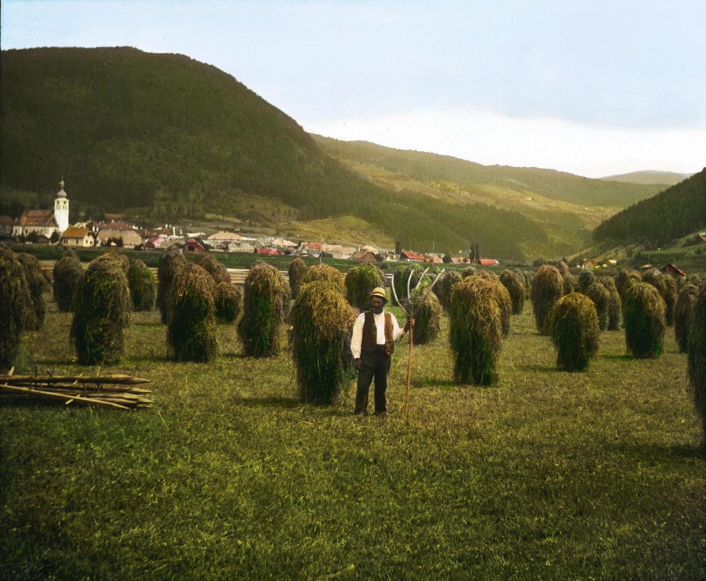 #29 Altenmarkt an der Triesting in Vienna Woods, Lower Austria, 1900.