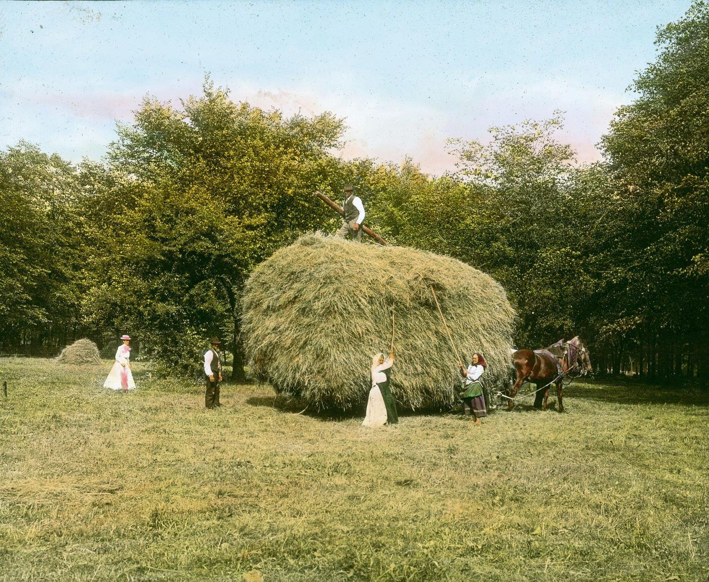 #47 Hay harvest in the Viennese Prater, 1905.