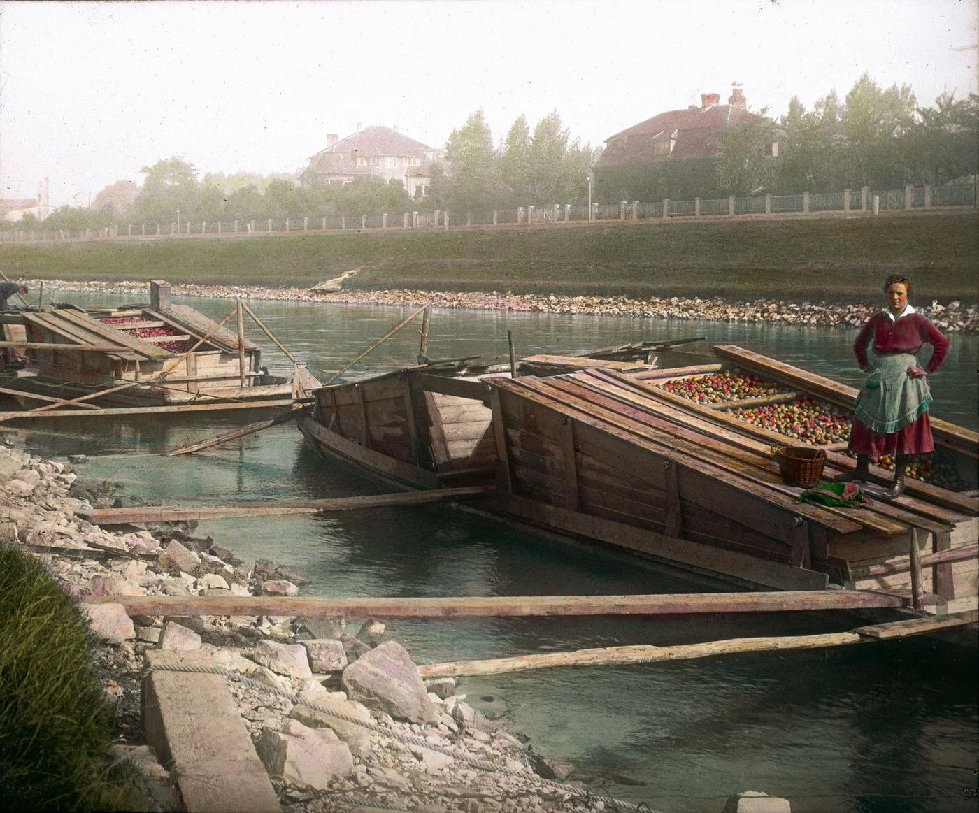#51 Wooden boat loaded with apples from Upper Austria on the Danube Canal, Vienna, 1905.