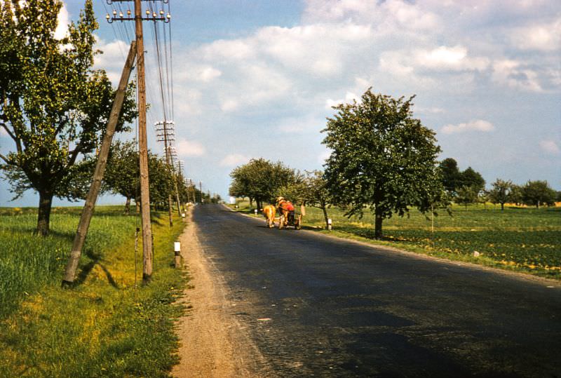 #94 West Germany.