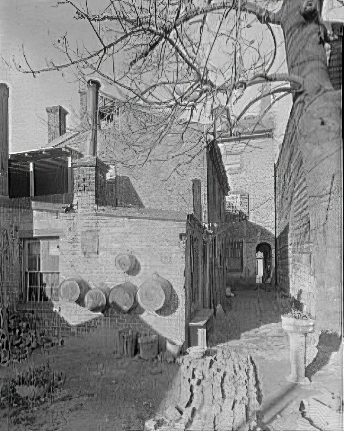 #22 Dr. Craik’s house in Alexandria, 1920s