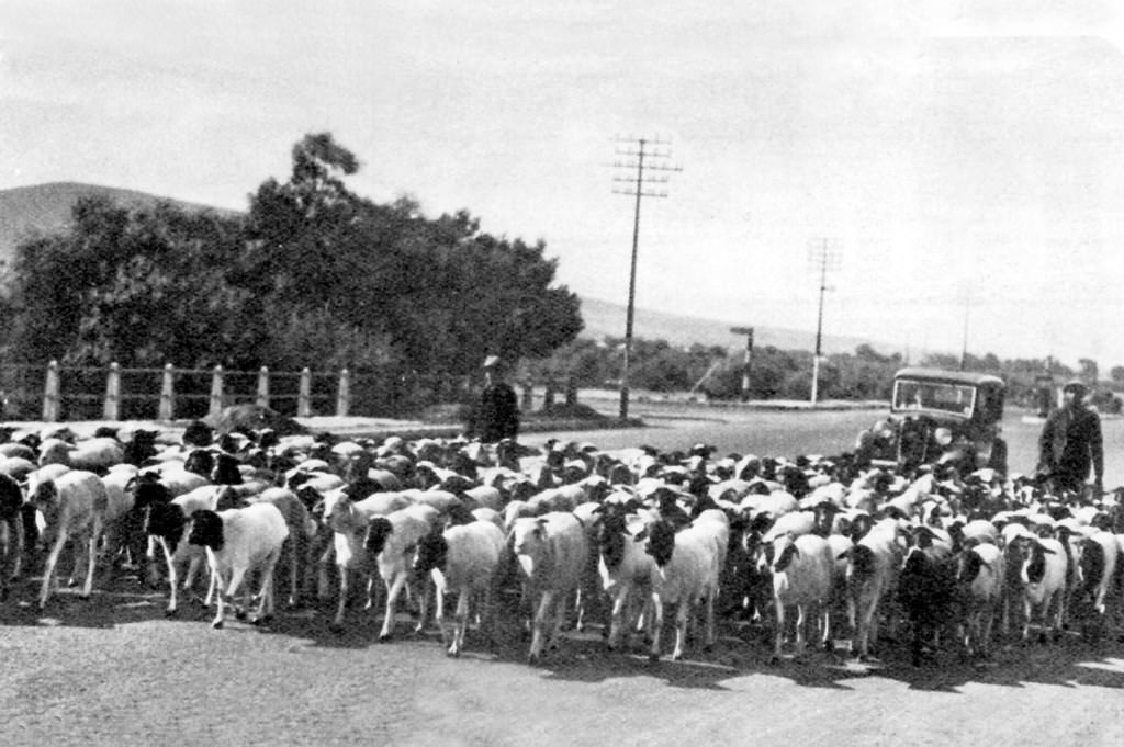 #43 Voortrekker Rd. Bellville, 1935.