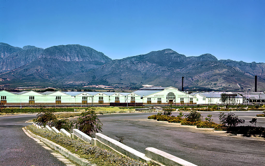 #110 KWV wine cellar complex, Paarl, 1960.