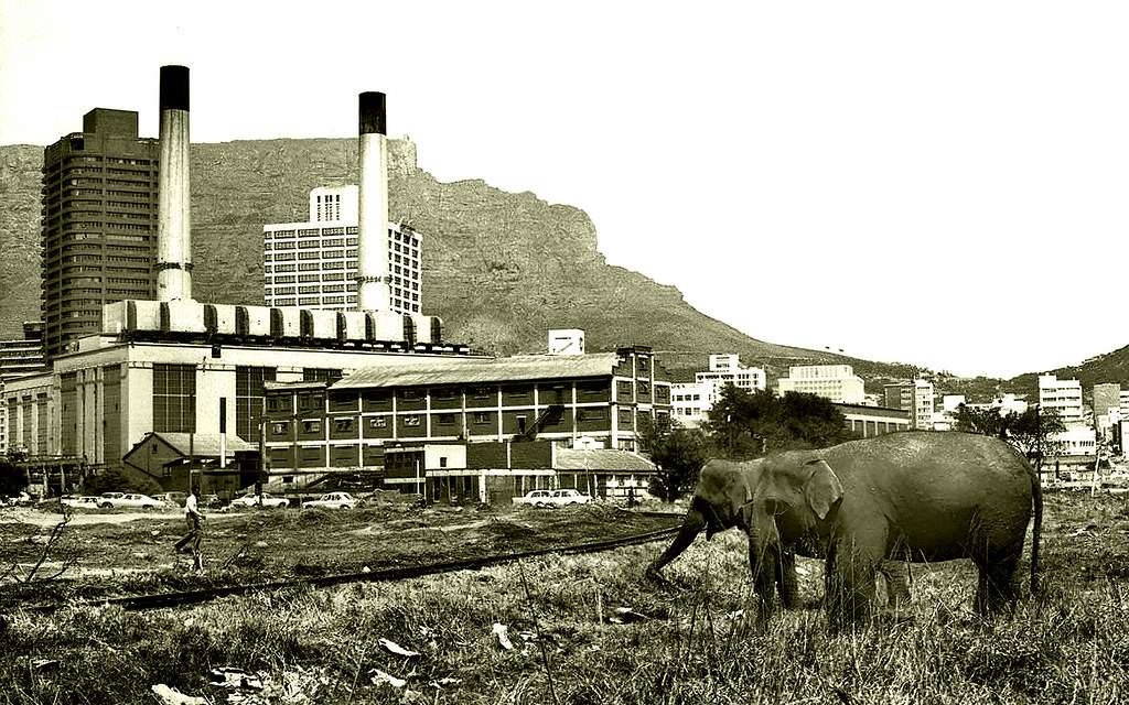 #121 Circus on the Foreshore,1968.