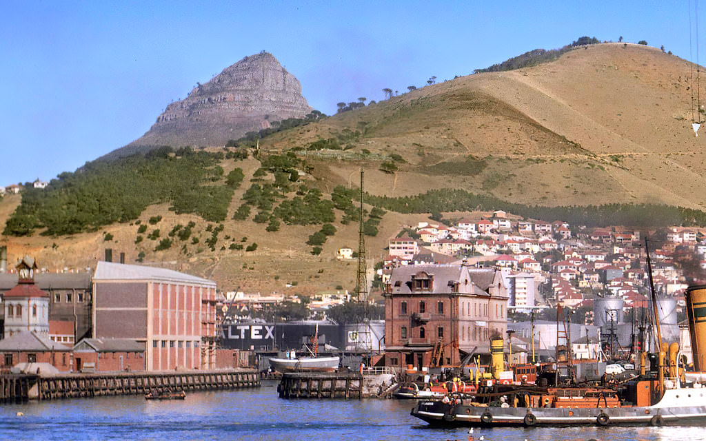 #122 Signal Hill, 1962