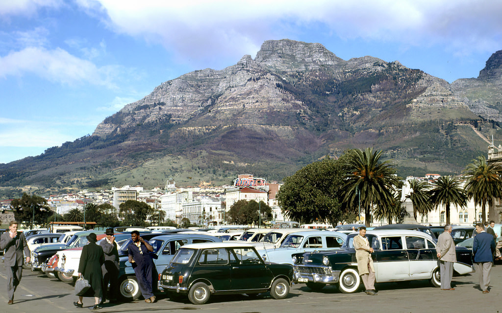 #125 Cars parked on the Parade, 1962.