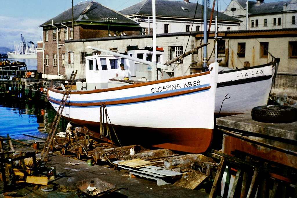 #174 Getting a once-over, 1960s