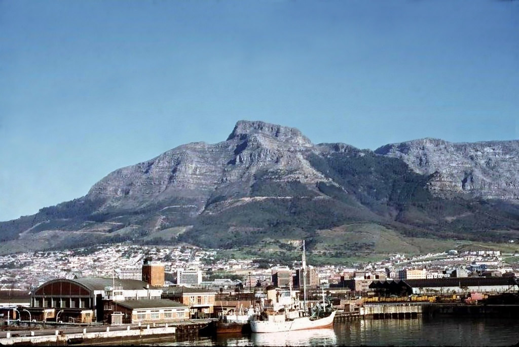 #11 When Table Mountain still had a forest 1968.