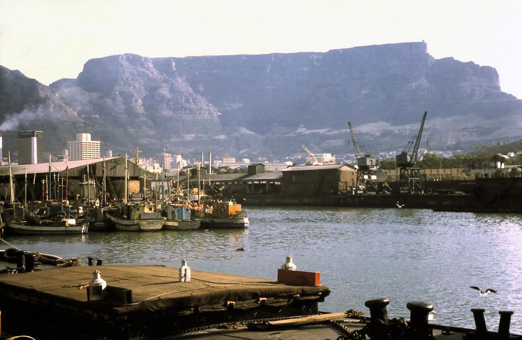 #220 Alfred Basin, 1969