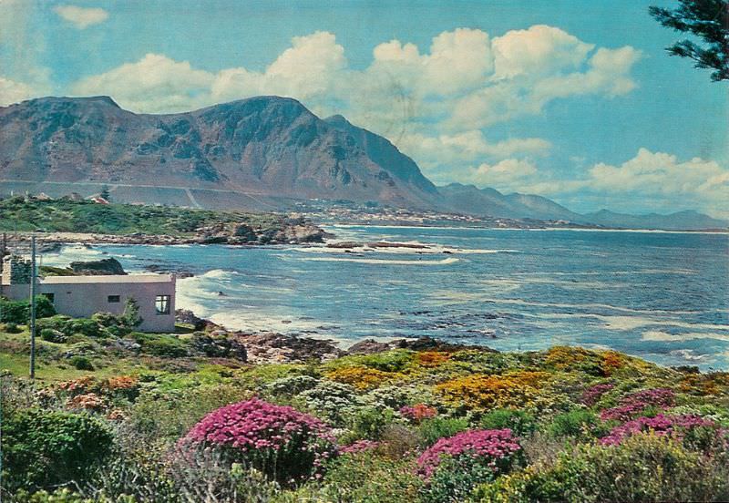 #58 Hermanus, 1968