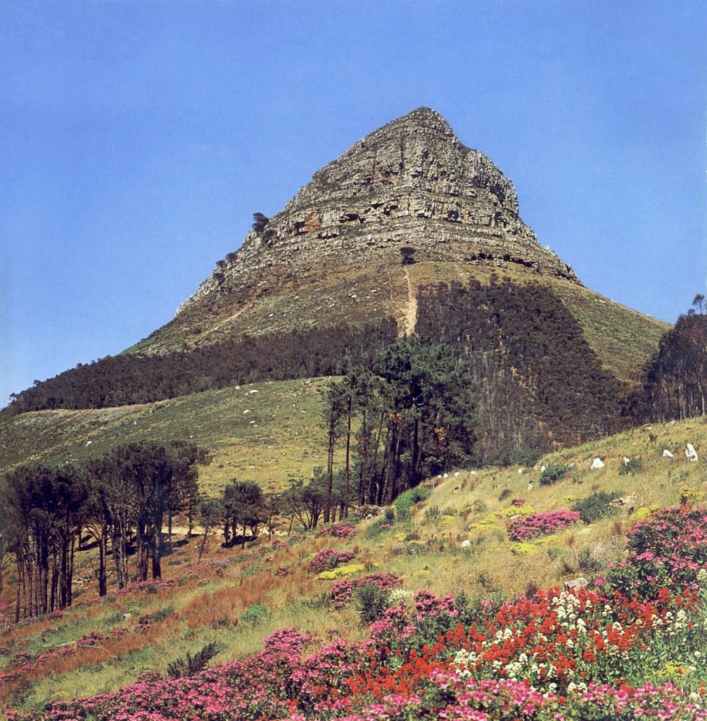 #4 Lion’s Head in spring, 1984.