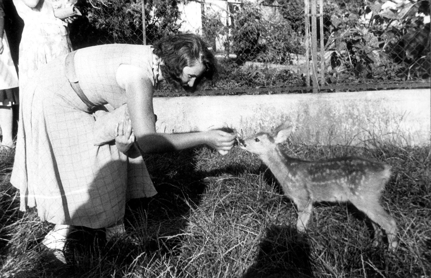 #2 Geli Raubal feeding a fawn (1930), a portrait of Adolf Hitler’s niece.