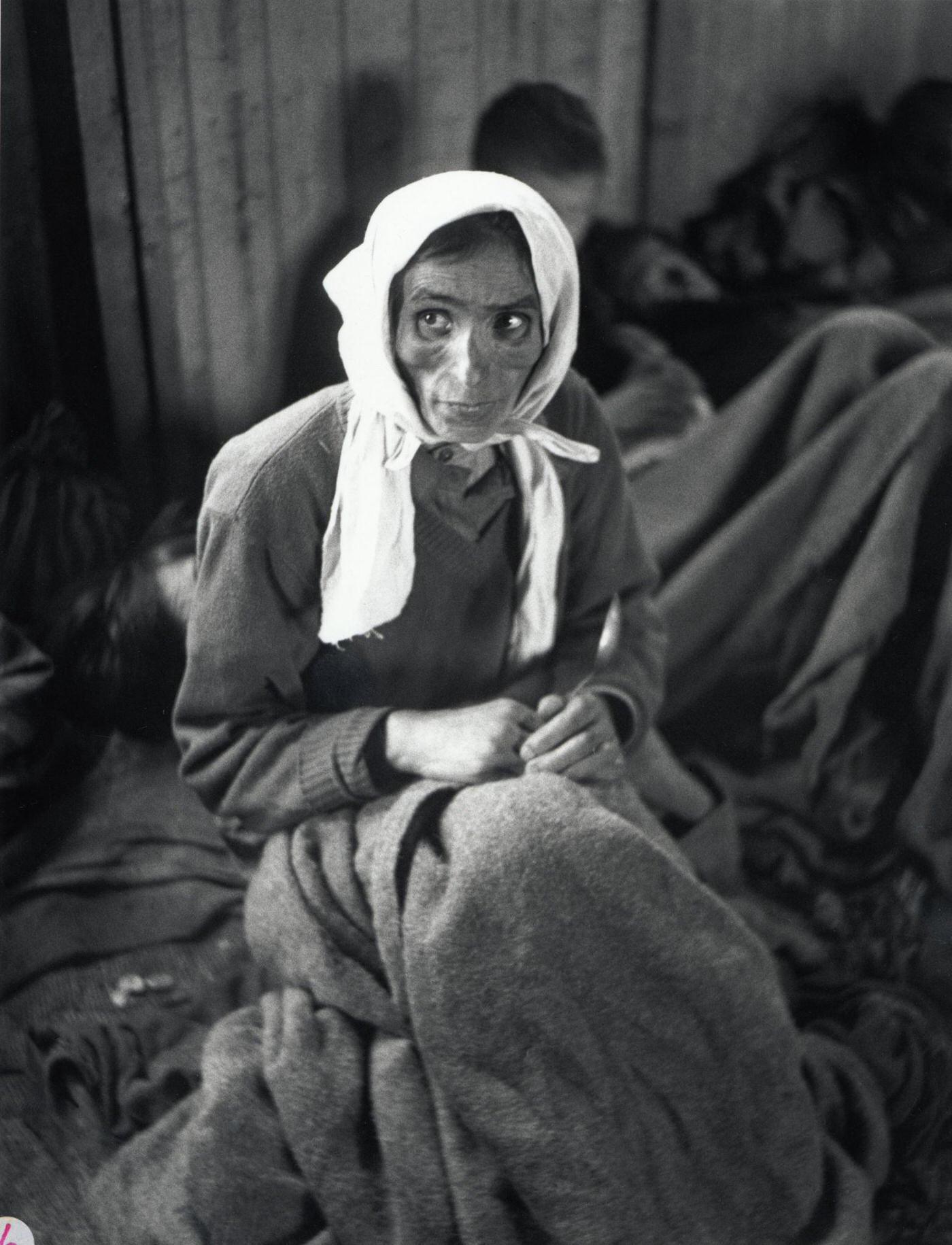 #12 Sinti in the train that will take them to a camp in Poland, May 22, 1940.