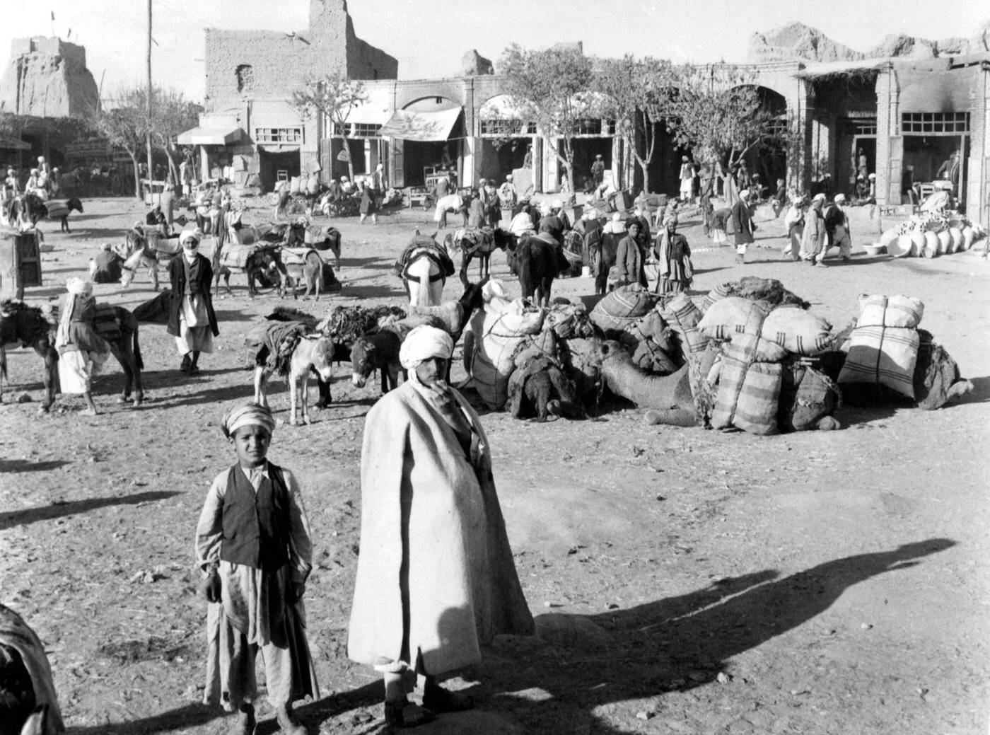 #53 Mules and camels assembling in the market place in Herat, 1955.