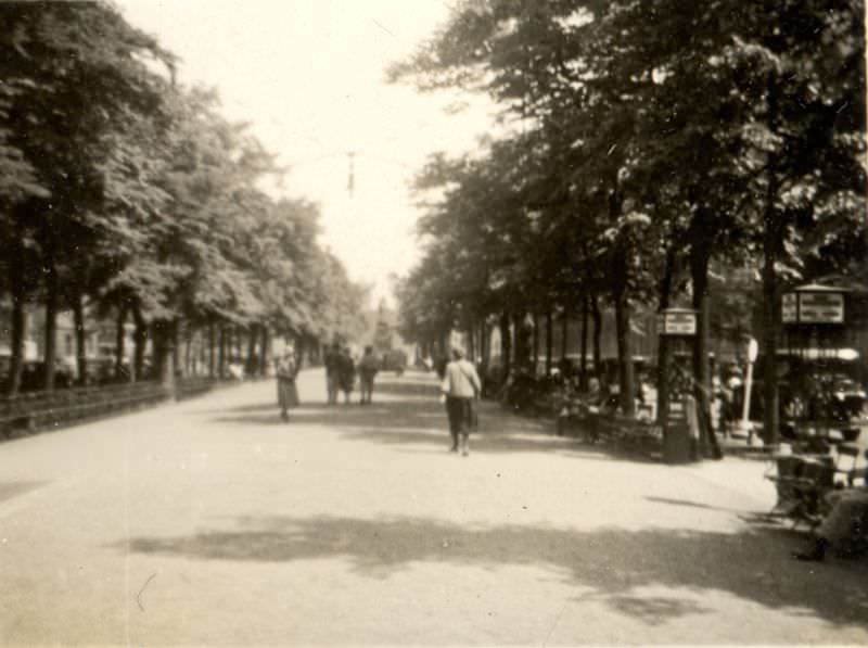 #32 Under the linden trees, Berlin, 1930s