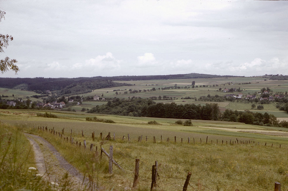 #51 Rural scenery somewhere in the Rhineland, 24 June 1958